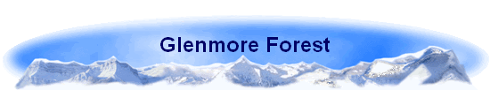 Glenmore Forest